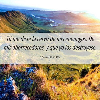 Picture 06 - 2 Samuel 22:41 RVA - Tú me diste la cerviz de mis enemigos, De mis - Bible Verse Picture