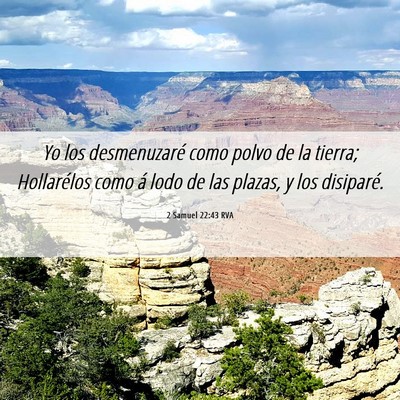 Picture 06 - 2 Samuel 22:43 RVA - Yo los desmenuzaré como polvo de la tierra; - Bible Verse Picture