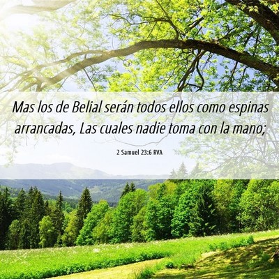 Picture 06 - 2 Samuel 23:6 RVA - Mas los de Belial serán todos ellos como espinas - Bible Verse Picture