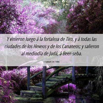 Picture 06 - 2 Samuel 24:7 RVA - Y vinieron luego á la fortaleza de Tiro, y á - Bible Verse Picture