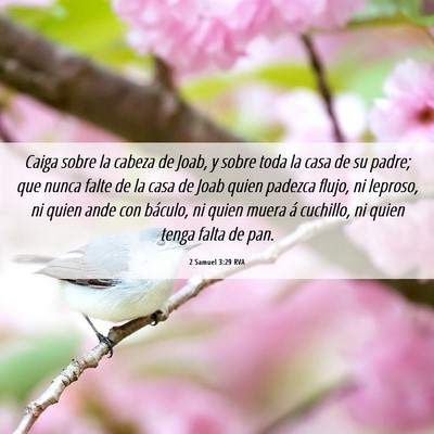 Picture 06 - 2 Samuel 3:29 RVA - Caiga sobre la cabeza de Joab, y sobre toda la - Bible Verse Picture