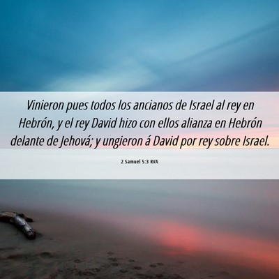 Picture 06 - 2 Samuel 5:3 RVA - Vinieron pues todos los ancianos de Israel al rey - Bible Verse Picture