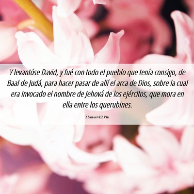 Picture 06 - 2 Samuel 6:2 RVA - Y levantóse David, y fué con todo el pueblo que - Bible Verse Picture