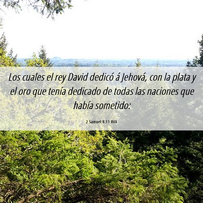 Picture 06 - 2 Samuel 8:11 RVA - Los cuales el rey David dedicó á Jehová, con - Bible Verse Picture