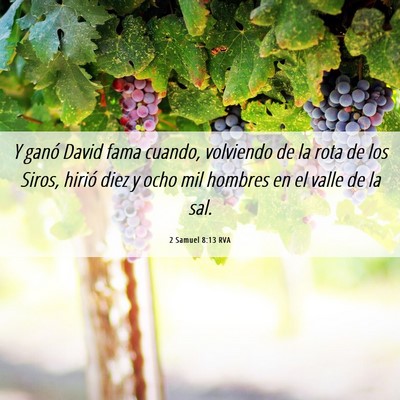 Picture 06 - 2 Samuel 8:13 RVA - Y ganó David fama cuando, volviendo de la rota - Bible Verse Picture