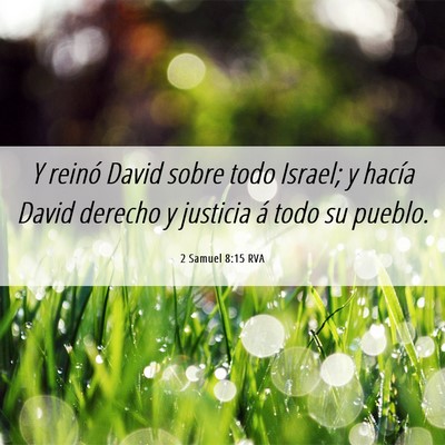 Picture 06 - 2 Samuel 8:15 RVA - Y reinó David sobre todo Israel; y hacía David - Bible Verse Picture
