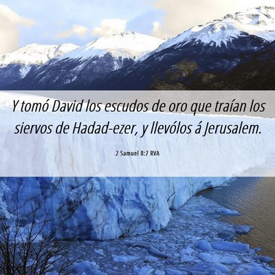 Picture 06 - 2 Samuel 8:7 RVA - Y tomó David los escudos de oro que traían los - Bible Verse Picture