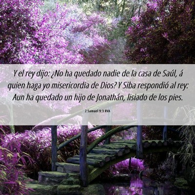 Picture 06 - 2 Samuel 9:3 RVA - Y el rey dijo: ¿No ha quedado nadie de la casa - Bible Verse Picture