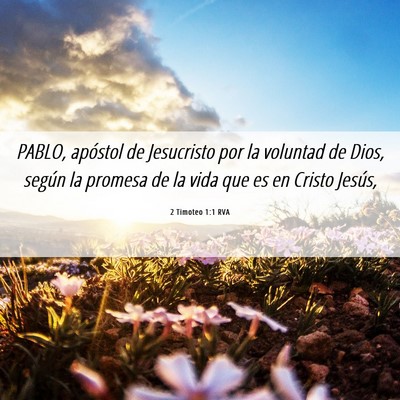 Picture 06 - 2 Timoteo 1:1 RVA - PABLO, apóstol de Jesucristo por la voluntad de - Bible Verse Picture