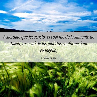 Picture 06 - 2 Timoteo 2:8 RVA - Acuérdate que Jesucristo, el cual fué de la - Bible Verse Picture
