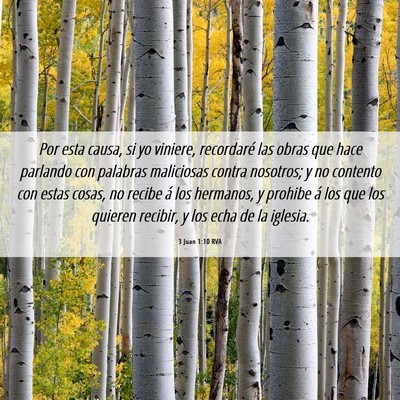 Picture 06 - 3 Juan 1:10 RVA - Por esta causa, si yo viniere, recordaré las - Bible Verse Picture