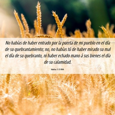 Picture 06 - Abdías 1:13 RVA - No habías de haber entrado por la puerta de mi - Bible Verse Picture