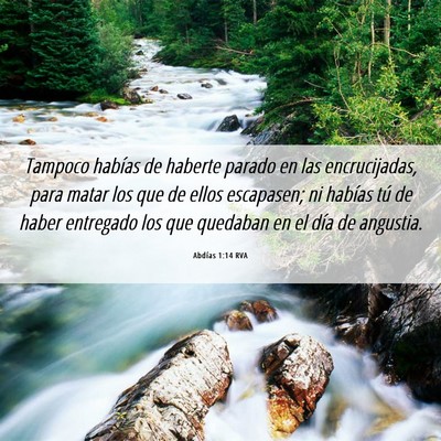 Picture 06 - Abdías 1:14 RVA - Tampoco habías de haberte parado en las - Bible Verse Picture