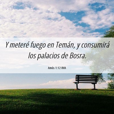 Picture 06 - Amós 1:12 RVA - Y meteré fuego en Temán, y consumirá los - Bible Verse Picture