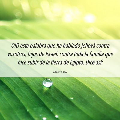 Picture 06 - Amós 3:1 RVA - OID esta palabra que ha hablado Jehová contra - Bible Verse Picture
