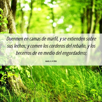 Picture 06 - Amós 6:4 RVA - Duermen en camas de marfil, y se extienden sobre - Bible Verse Picture