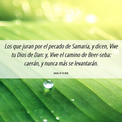 Picture 06 - Amós 8:14 RVA - Los que juran por el pecado de Samaria, y dicen, - Bible Verse Picture