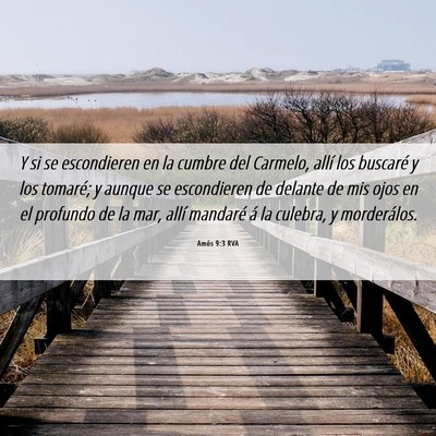 Picture 06 - Amós 9:3 RVA - Y si se escondieren en la cumbre del Carmelo, - Bible Verse Picture