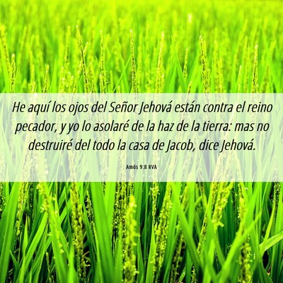 Picture 06 - Amós 9:8 RVA - He aquí los ojos del Señor Jehová están - Bible Verse Picture