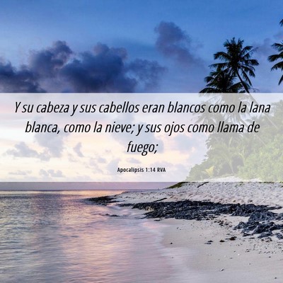Picture 06 - Apocalipsis 1:14 RVA - Y su cabeza y sus cabellos eran blancos como la - Bible Verse Picture