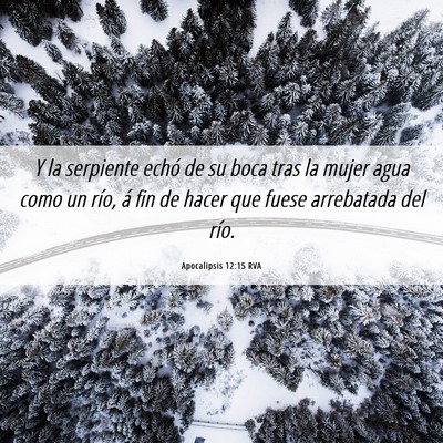 Picture 06 - Apocalipsis 12:15 RVA - Y la serpiente echó de su boca tras la mujer - Bible Verse Picture