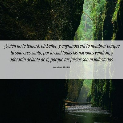 Picture 06 - Apocalipsis 15:4 RVA - ¿Quién no te temerá, oh Señor, y - Bible Verse Picture