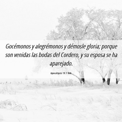 Picture 06 - Apocalipsis 19:7 RVA - Gocémonos y alegrémonos y démosle gloria; - Bible Verse Picture