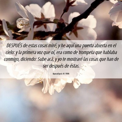 Picture 06 - Apocalipsis 4:1 RVA - DESPUÉS de estas cosas miré, y he aquí una - Bible Verse Picture