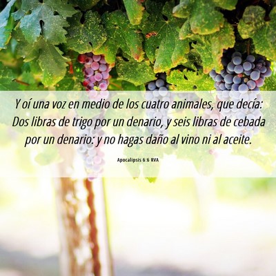 Picture 06 - Apocalipsis 6:6 RVA - Y oí una voz en medio de los cuatro animales, - Bible Verse Picture