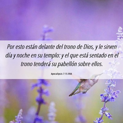 Picture 06 - Apocalipsis 7:15 RVA - Por esto están delante del trono de Dios, y le - Bible Verse Picture