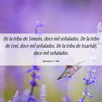 Picture 06 - Apocalipsis 7:7 RVA - De la tribu de Simeón, doce mil señalados. De - Bible Verse Picture