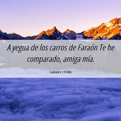 Picture 06 - Cantares 1:9 RVA - A yegua de los carros de Faraón Te he comparado, - Bible Verse Picture