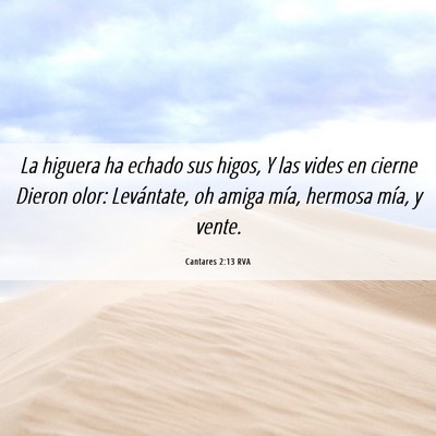 Picture 06 - Cantares 2:13 RVA - La higuera ha echado sus higos, Y las vides en - Bible Verse Picture