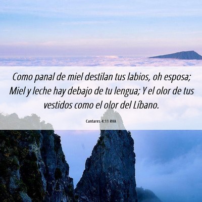 Picture 06 - Cantares 4:11 RVA - Como panal de miel destilan tus labios, oh - Bible Verse Picture