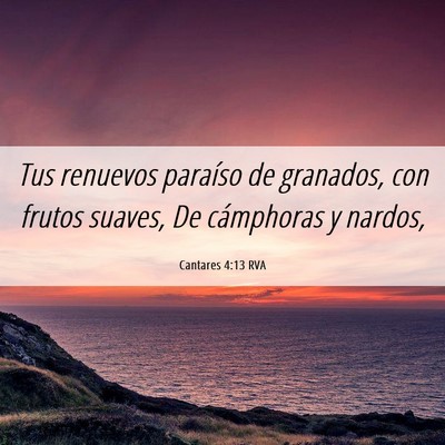 Picture 06 - Cantares 4:13 RVA - Tus renuevos paraíso de granados, con frutos - Bible Verse Picture