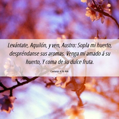 Picture 06 - Cantares 4:16 RVA - Levántate, Aquilón, y ven, Austro: Sopla mi - Bible Verse Picture