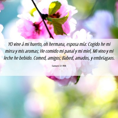 Picture 06 - Cantares 5:1 RVA - YO vine á mi huerto, oh hermana, esposa mía: - Bible Verse Picture