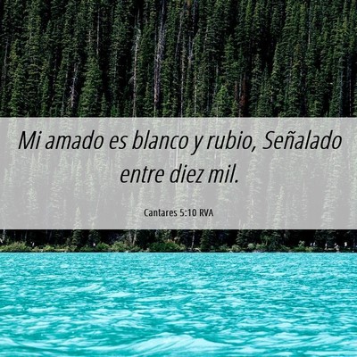 Picture 06 - Cantares 5:10 RVA - Mi amado es blanco y rubio, Señalado entre diez - Bible Verse Picture
