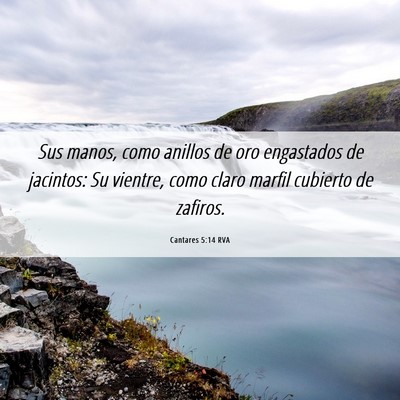 Picture 06 - Cantares 5:14 RVA - Sus manos, como anillos de oro engastados de - Bible Verse Picture