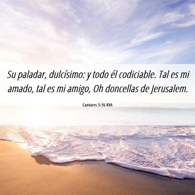 Picture 06 - Cantares 5:16 RVA - Su paladar, dulcísimo: y todo él codiciable. - Bible Verse Picture