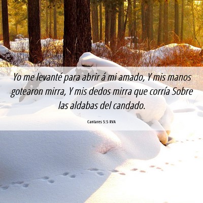 Picture 06 - Cantares 5:5 RVA - Yo me levanté para abrir á mi amado, Y mis - Bible Verse Picture