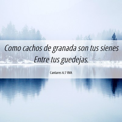Picture 06 - Cantares 6:7 RVA - Como cachos de granada son tus sienes Entre tus - Bible Verse Picture