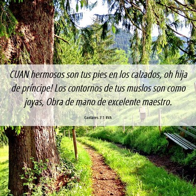 Picture 06 - Cantares 7:1 RVA - CUAN hermosos son tus pies en los calzados, oh - Bible Verse Picture