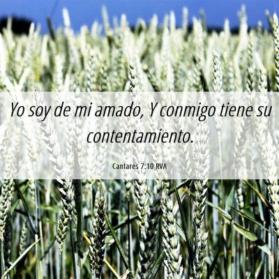 Picture 06 - Cantares 7:10 RVA - Yo soy de mi amado, Y conmigo tiene su - Bible Verse Picture
