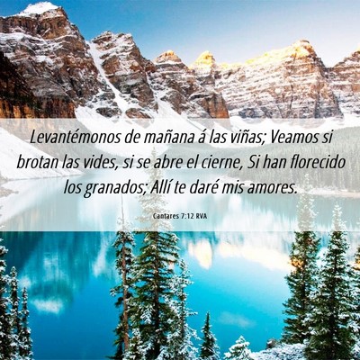 Picture 06 - Cantares 7:12 RVA - Levantémonos de mañana á las viñas; Veamos si - Bible Verse Picture