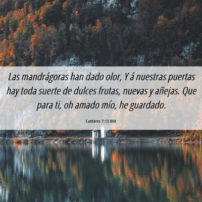 Picture 06 - Cantares 7:13 RVA - Las mandrágoras han dado olor, Y á nuestras - Bible Verse Picture