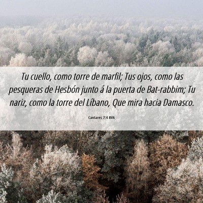 Picture 06 - Cantares 7:4 RVA - Tu cuello, como torre de marfil; Tus ojos, como - Bible Verse Picture