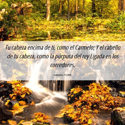 Picture 06 - Cantares 7:5 RVA - Tu cabeza encima de ti, como el Carmelo; Y el - Bible Verse Picture
