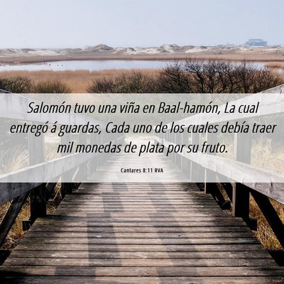 Picture 06 - Cantares 8:11 RVA - Salomón tuvo una viña en Baal-hamón, La cual - Bible Verse Picture