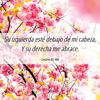 Picture 06 - Cantares 8:3 RVA - Su izquierda esté debajo de mi cabeza, Y su - Bible Verse Picture